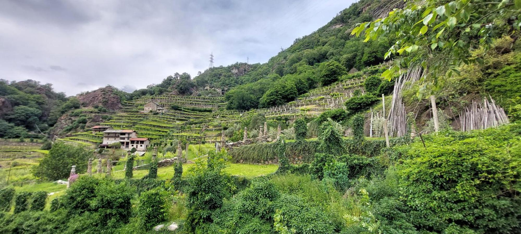 Bed and Breakfast Relais Del Brigante Settimo Vittone Exterior foto