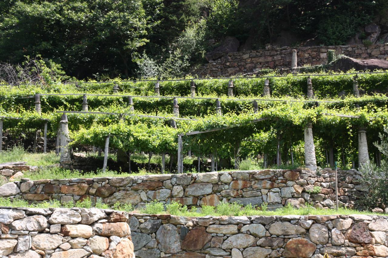 Bed and Breakfast Relais Del Brigante Settimo Vittone Exterior foto